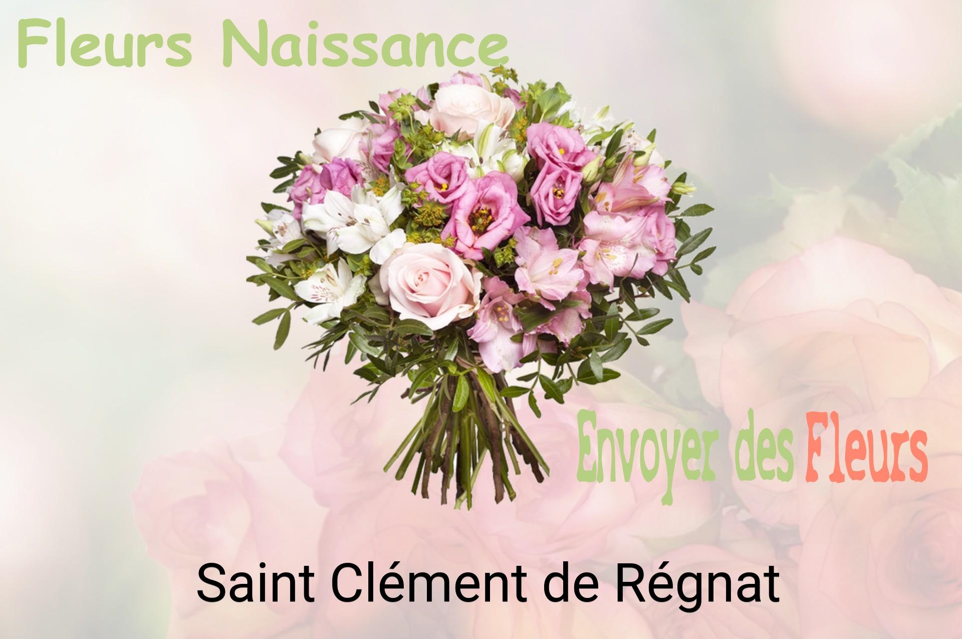 Bouquet de fleurs de naissance livré à Saint-Clément-de-Régnat