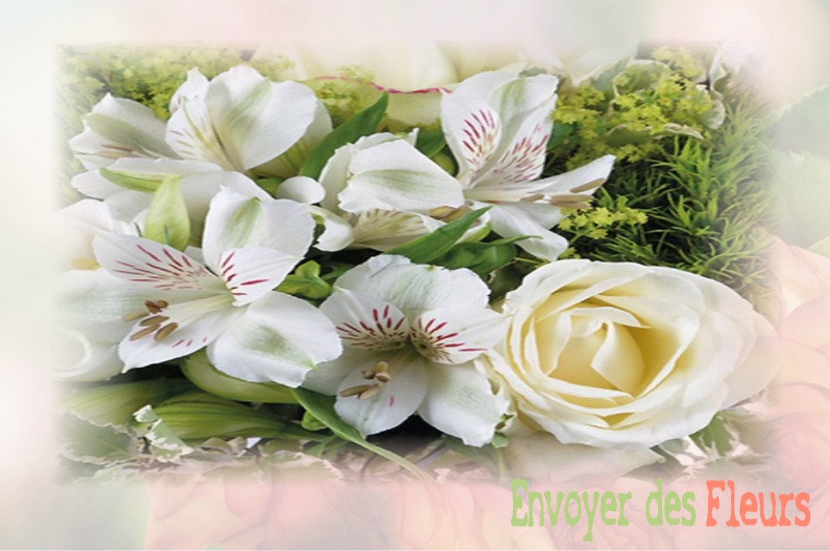 envoyer des fleurs à à SAINT-CLEMENT-DE-REGNAT